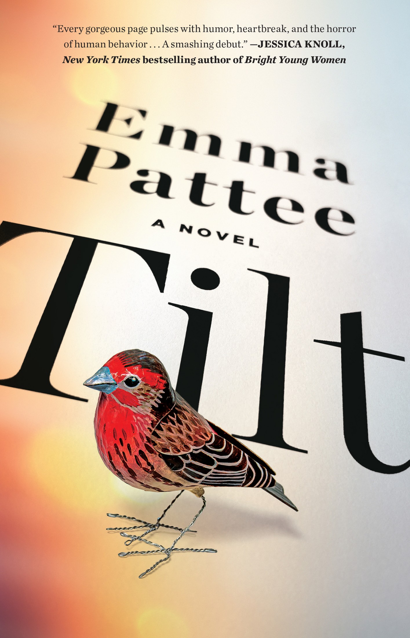 Tilt: A Novel