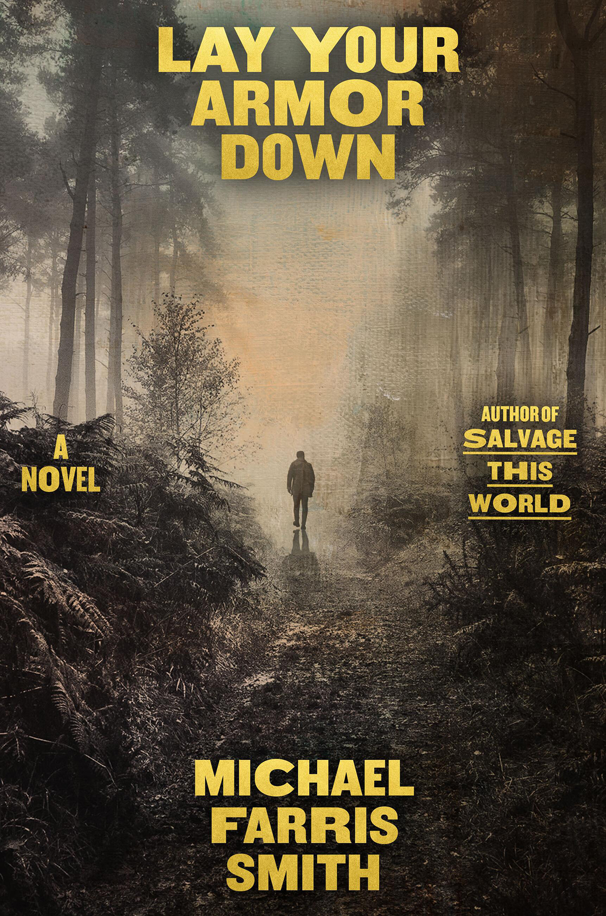 Lay Your Armor Down: A Novel