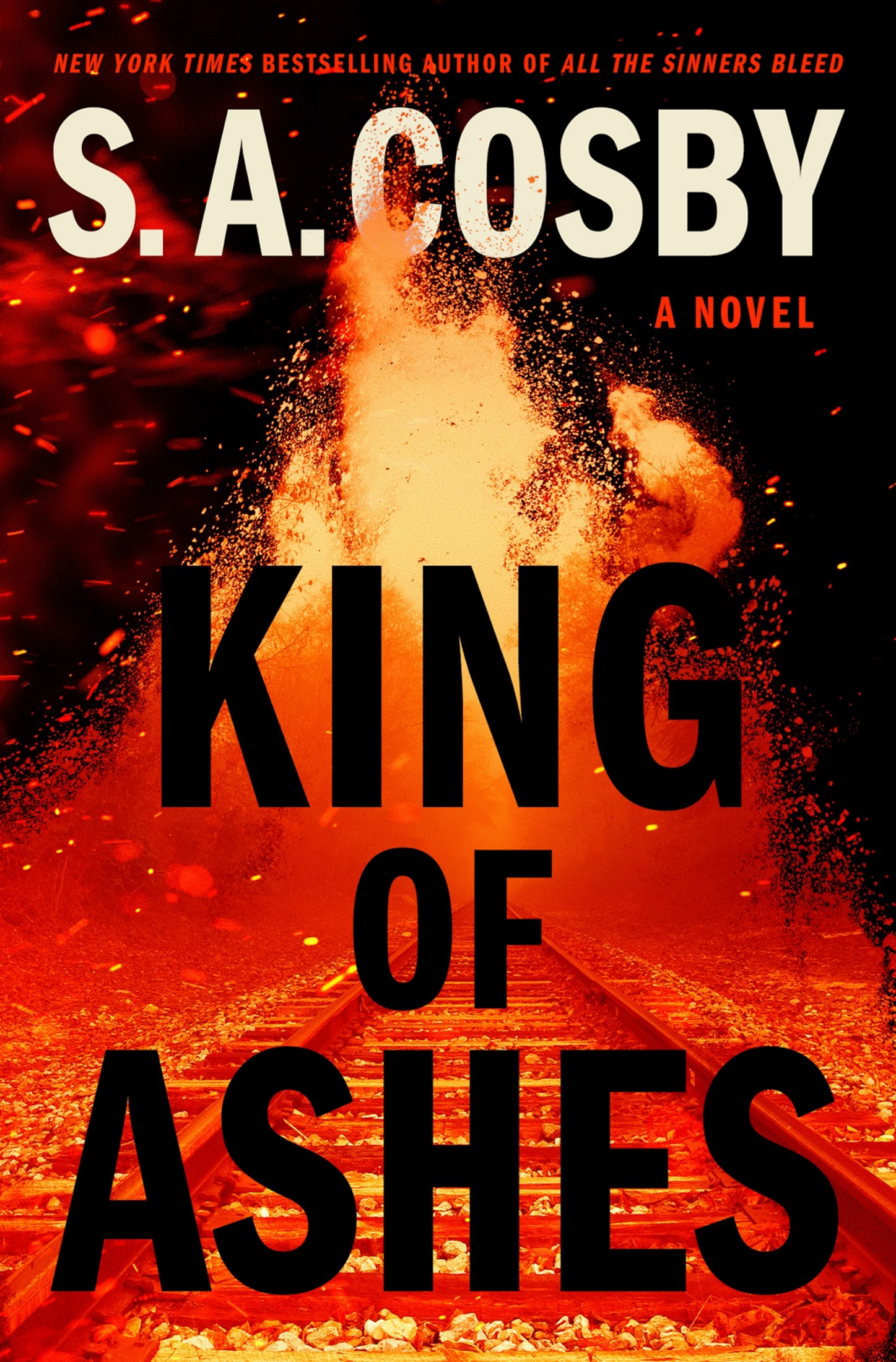 King of Ashes: A Novel