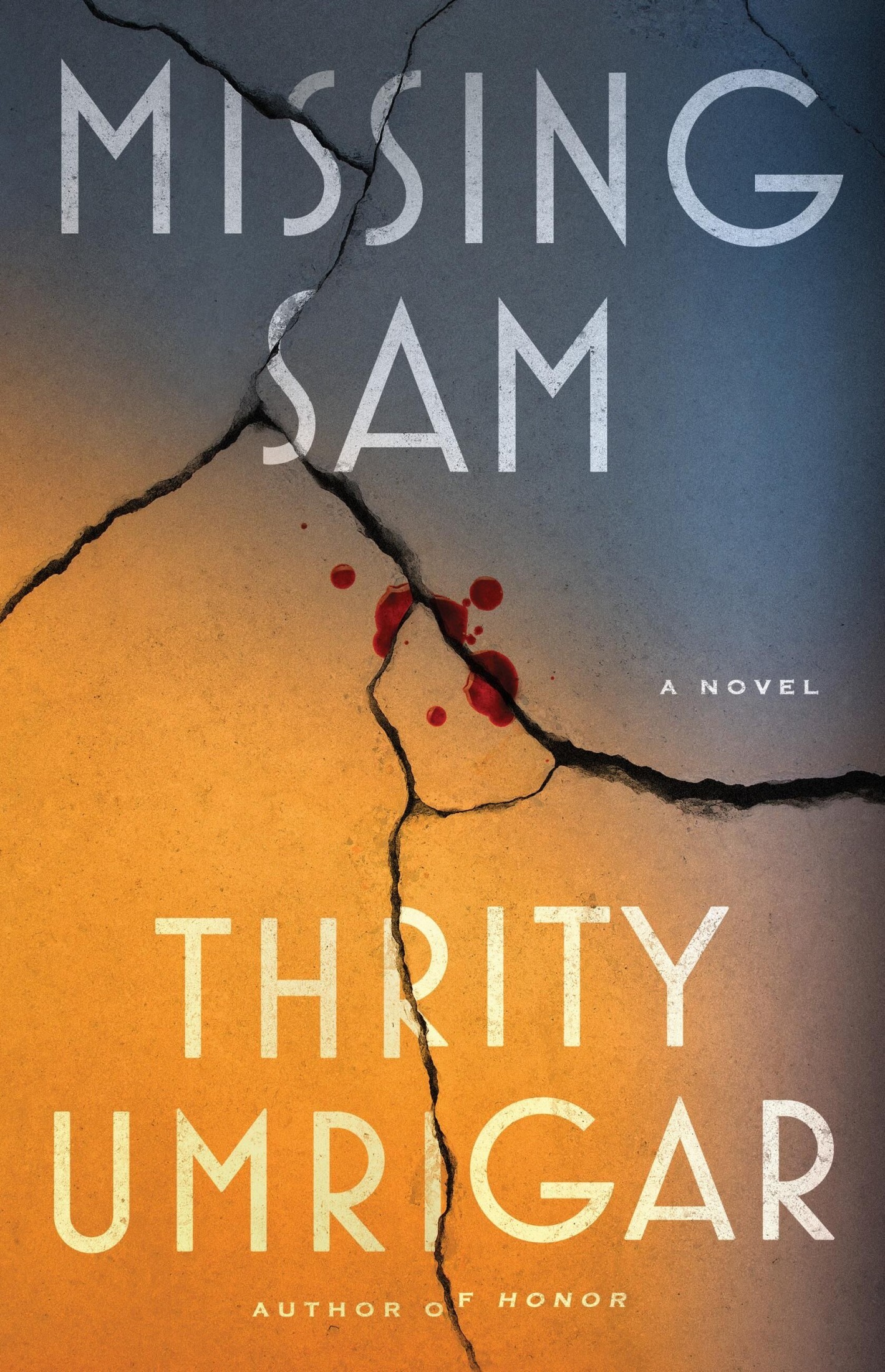 Missing Sam
