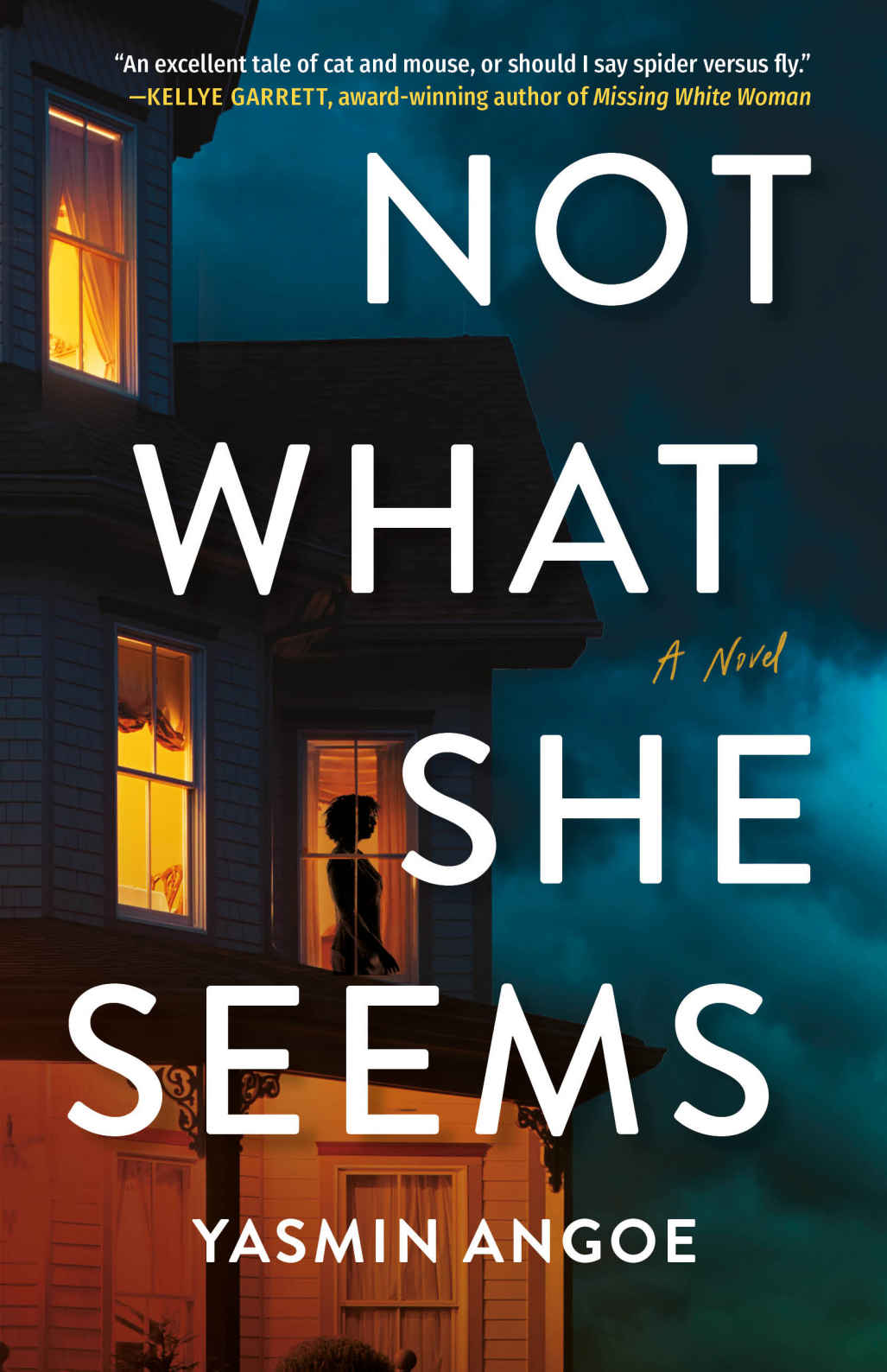 Not What She Seems: A Novel