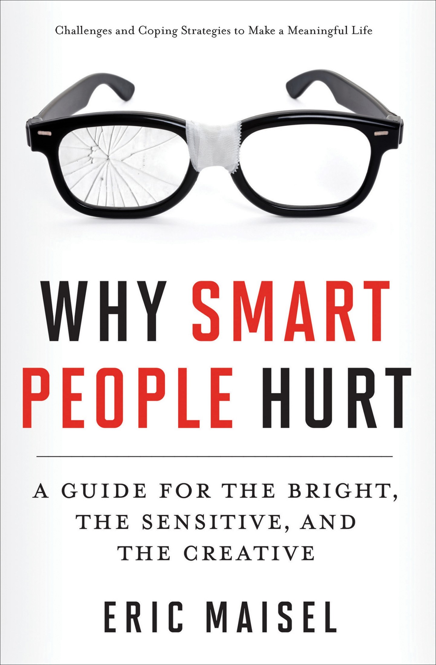 Why Smart People Hurt: A Guide for the Bright, the Sensitive, and the Creative
